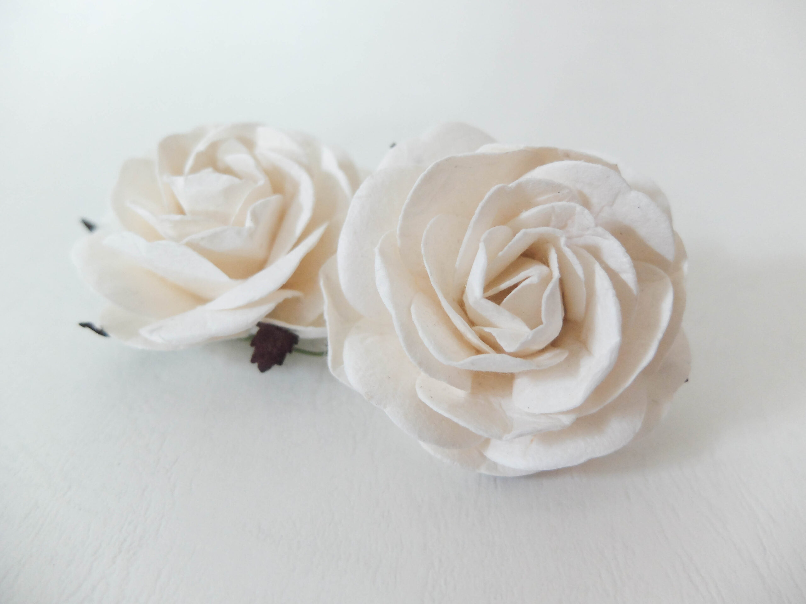 60mm paper roses in white