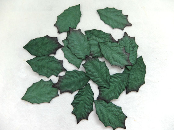 holly leaves no stems