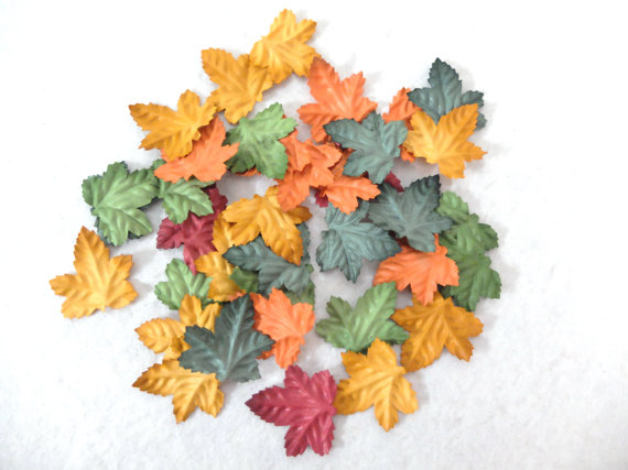 maple leaves