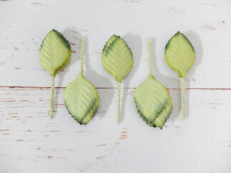 Paper roses leaves, 50 pcs, size 6