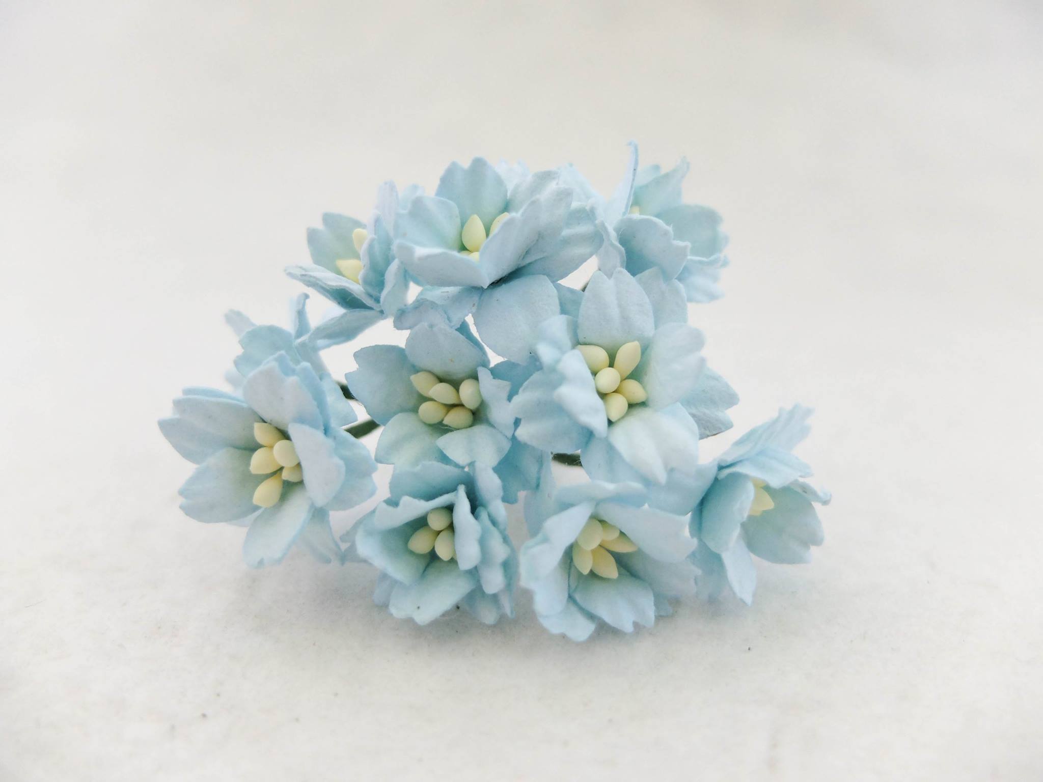 baby blue paper cherry blossom