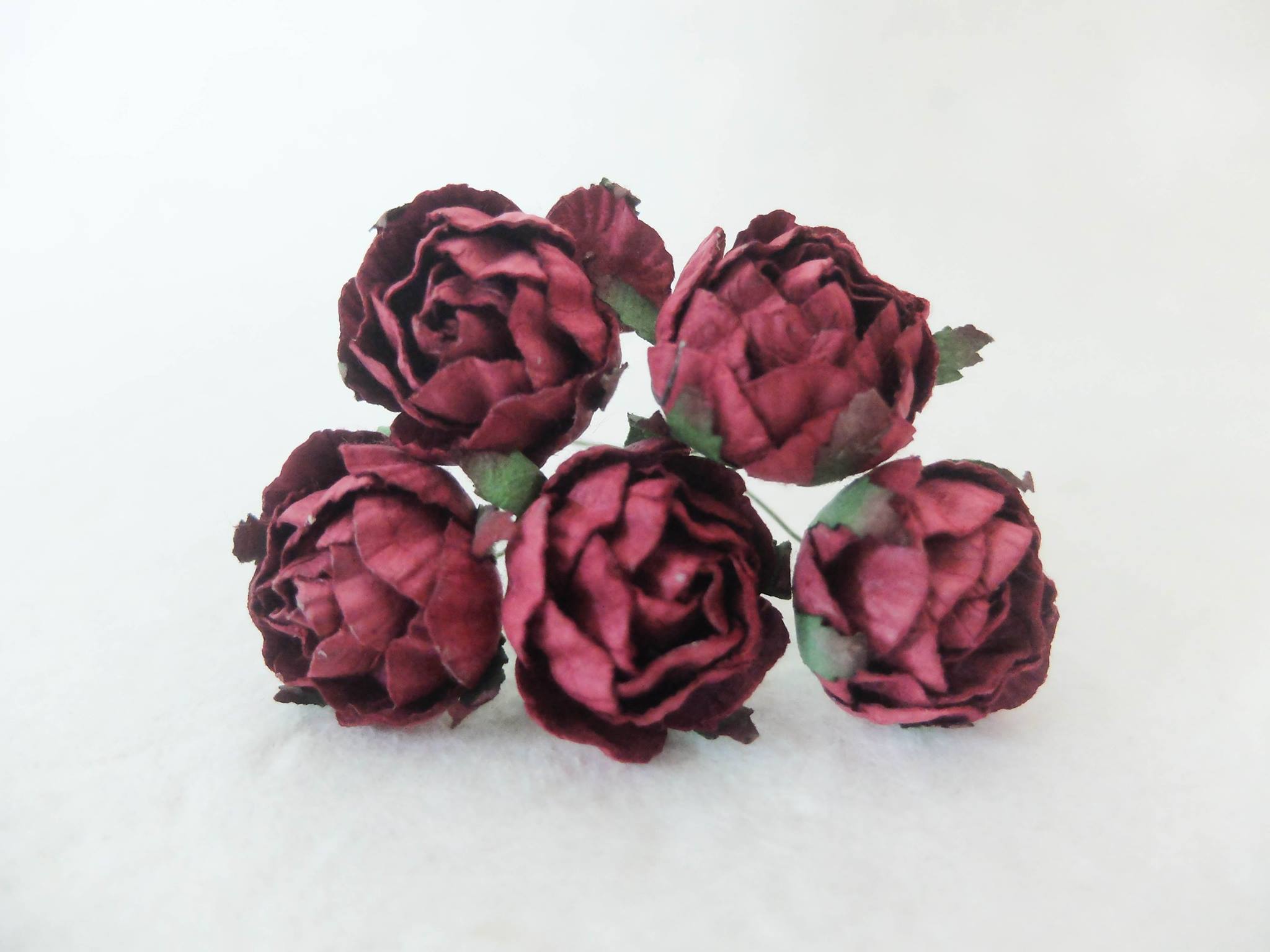 burgundy paper ranunculus