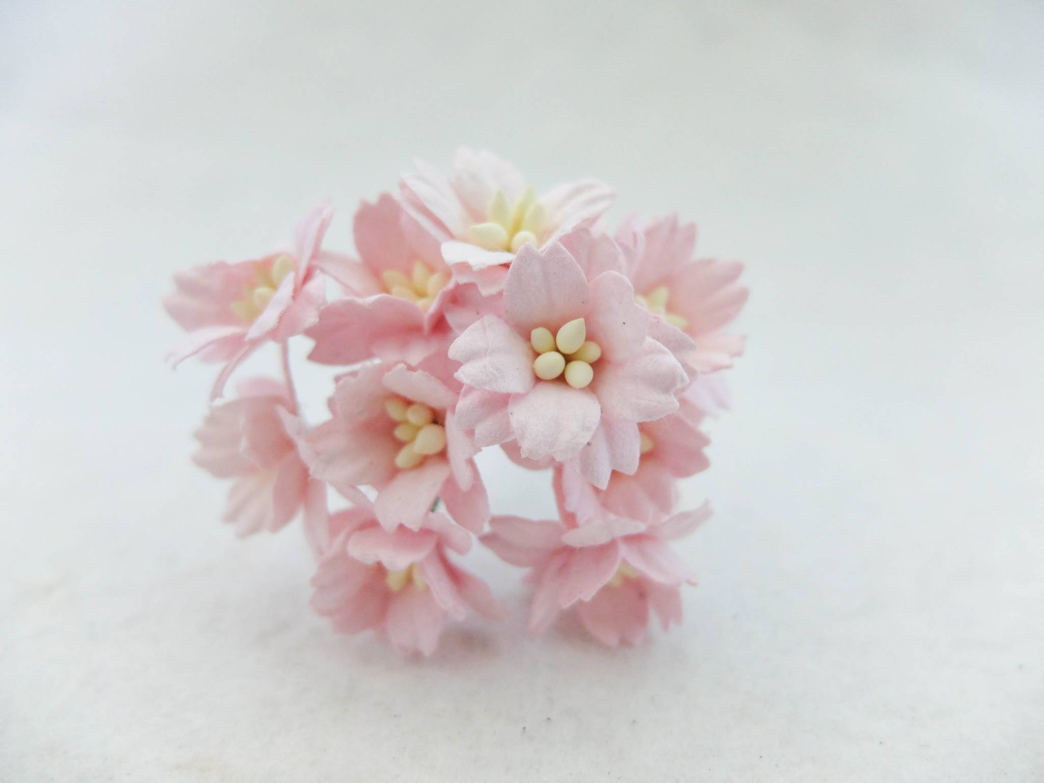 light pink paper cherry blossom