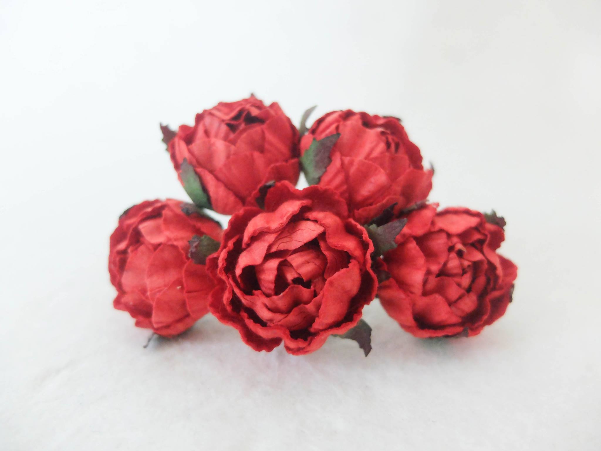 red paper ranunculus