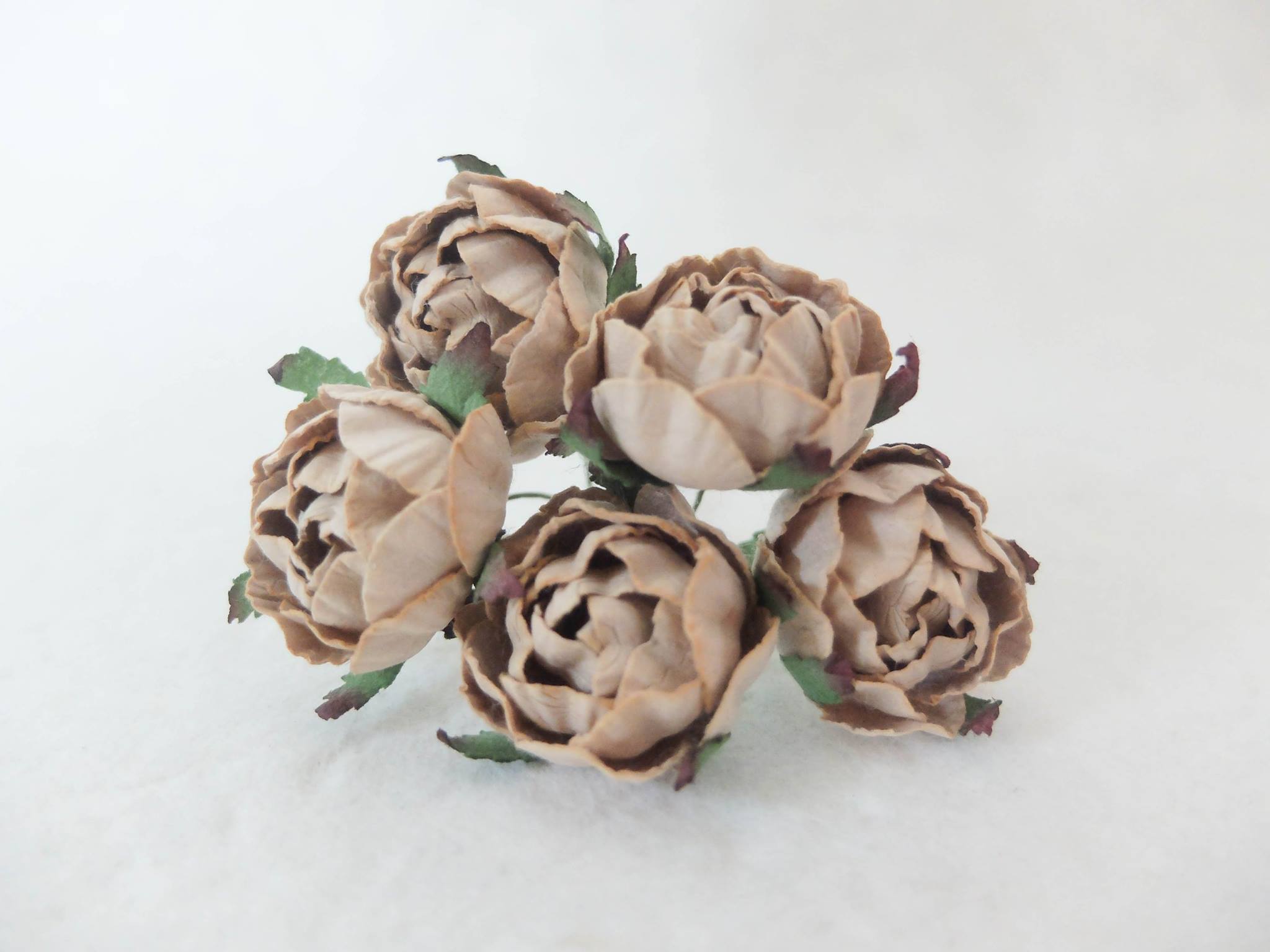 tea brown paper ranunculus