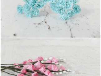 Baby's breaths (gypsophila)