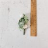 White sage green wedding boutonniere, prom buttonhole, corsage [1 pc] - Image 3