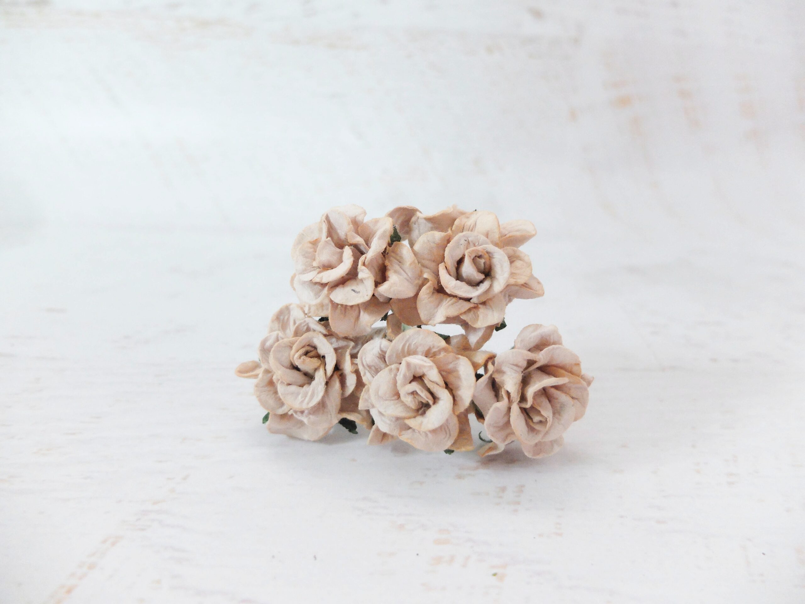 3 cm mulberry paper gardenia – DAILYPAPERFLOWERS Shop mulberry paper ...