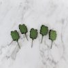 Paper fern roses leaves, 50 pcs