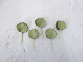 Paper eucalyptus leaves, 50 pcs