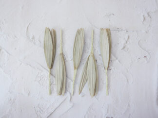 Paper olive leaves, 50 pcs