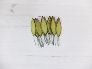 100 pcs, 6 cm paper leaves, olive leaves