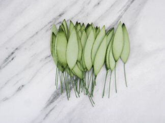 100 pcs 5 cm paper olive leaves