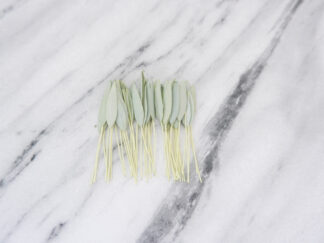 Bamboo paper leaves, 100 paper leaves (size 1)