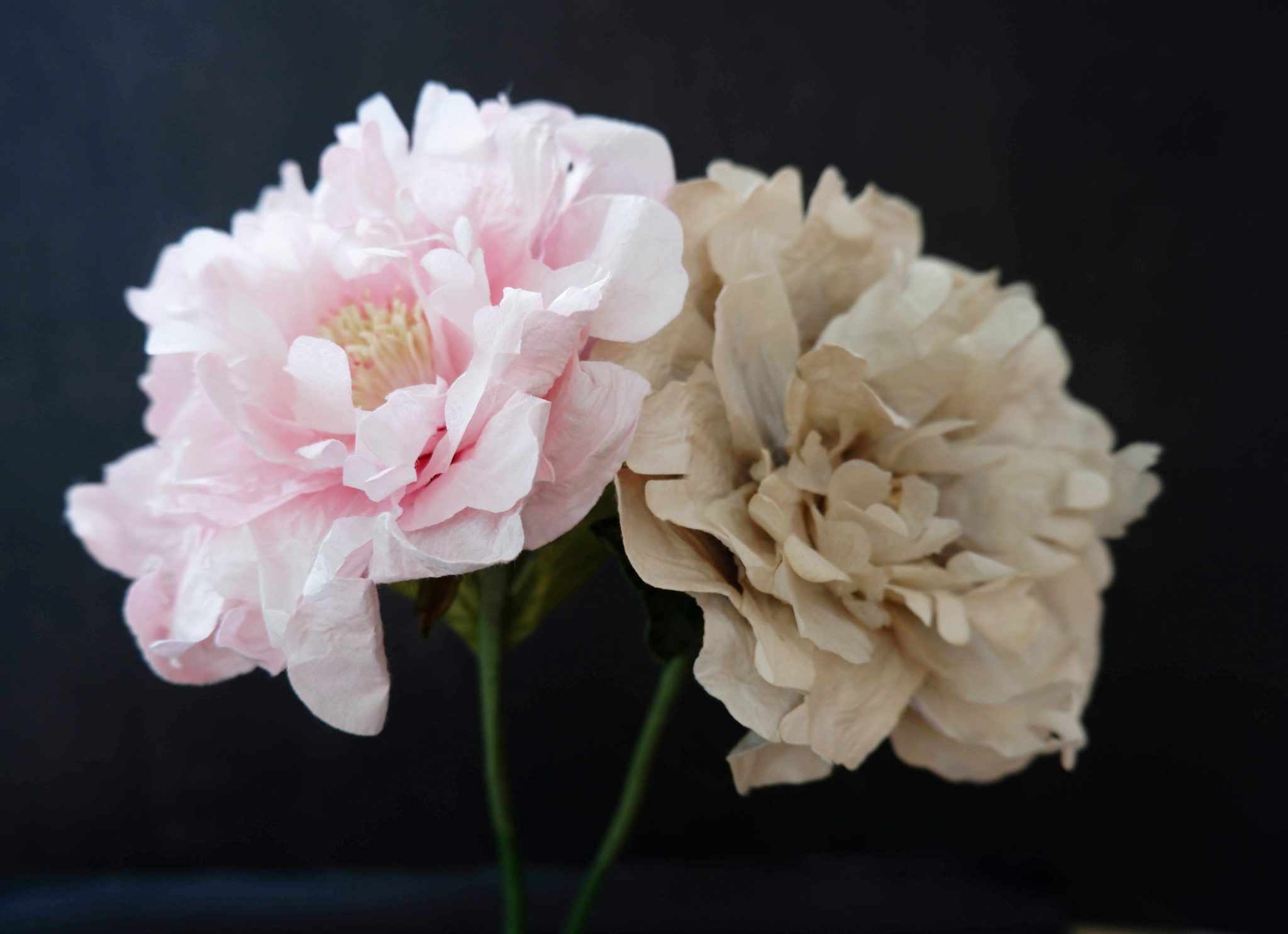 DAILYPAPERFLOWERS Shop mulberry paper flowers floral supplies wedding