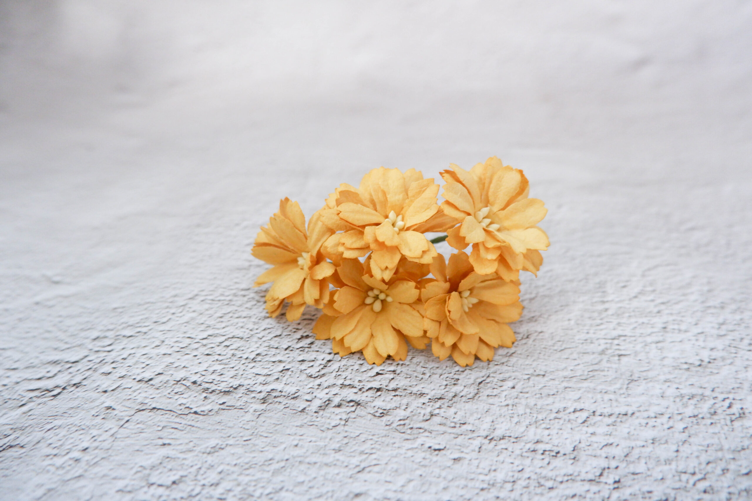 40 mm paper gerbera (daisies), 25 pcs 4 cm flat paper flowers with wire stems - Image 20